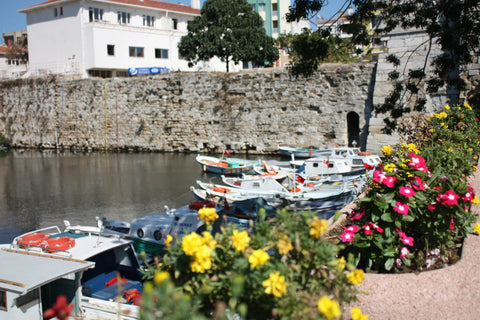 From Gelibolu to Istanbul to San Francisco: A Journey Through Food